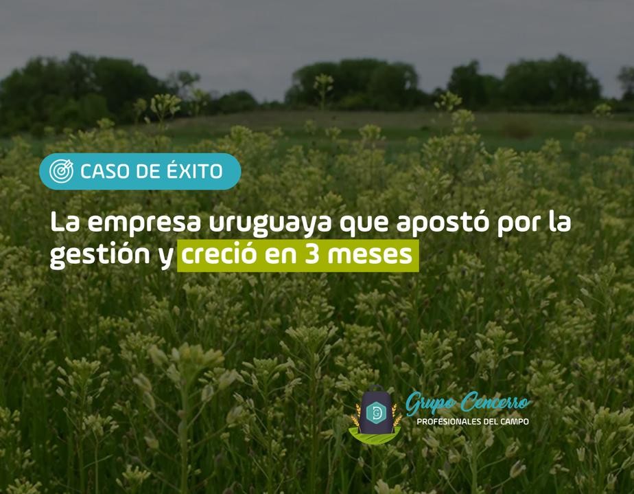 La empresa uruguaya que apostó por la gestión y creció en 3 meses