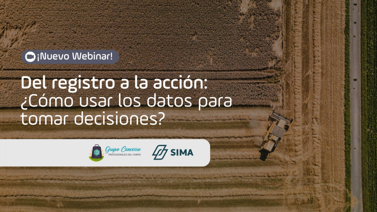 Del registro a la acción: ¿Cómo usar los datos para tomar decisiones?