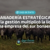 Ganadería estratégica:  Cómo la gestión multiplicó la liquidez de una empresa del sur bonaerense