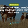 El escenario ganadero en números: claves y tendencias para la toma de decisiones