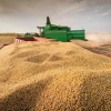 Mesa de decisión agrícola:  Más de 600 mil hectáreas a tu disposición para saber que hacer esta campaña