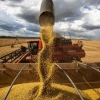 Negocio por negocio: cómo está la rentabilidad de las empresas del agro y cuál es el desafío que se viene