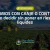 ¿Insumos con canje o contado?  Cómo decidir sin poner en riesgo la liquidez