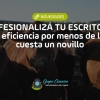 Profesionalizá tu escritorio: Ganá eficiencia por menos de lo que cuesta un novillo