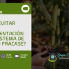 Webinar: ¿Cómo evitar que la implementación de tu sistema de gestión fracase?