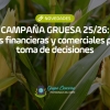Campaña Gruesa 26/27: Claves financieras y comerciales para la toma de decisiones