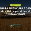 Claves para financiar la campaña: entre el capital propio, el descalce y el crédito comercial