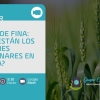 Webinar costos de fina: ¿Cómo están los márgenes preliminares en tu zona?
