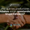 ¿Por qué los productores cordobeses están apostando por Grupo Cencerro?