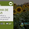 Webinar: ¿Cómo planificar y ordenar los números de la cosecha de gruesa?