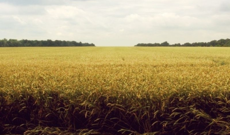 Haciendo Contabilidad para empezar a hacer Gestión