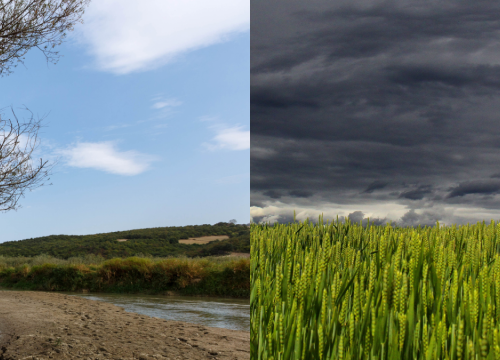 El Niño y La Niña: Claves para comprender la variabilidad climática en Argentina