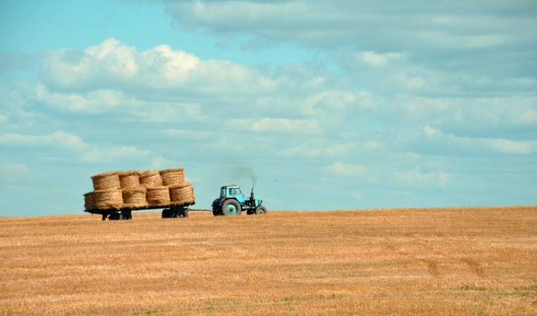 La buena gestión, el futuro de las empresas agropecuarias