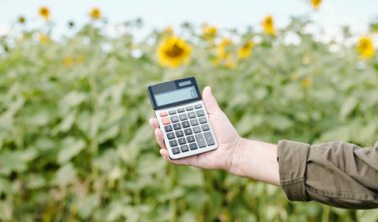 Llega fin de año: ¿Qué decisiones debo tomar?