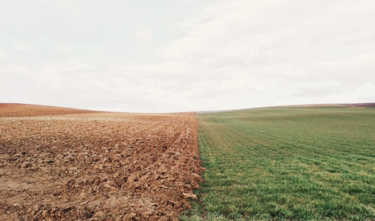 ¿Cómo pasar de tener una “contabilidad ordenada