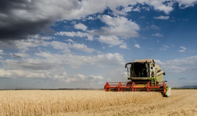 El diagnóstico es vital para lograr la expansión de las AgTech.
