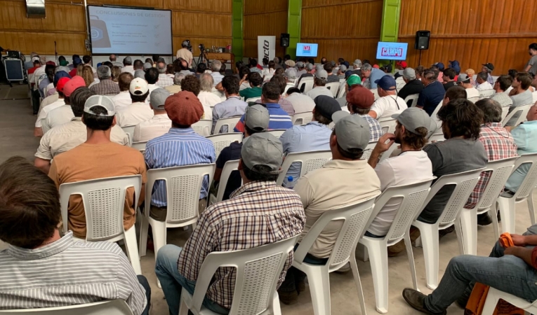 Experiencia Forrajera y en Cosecha en Ameghino