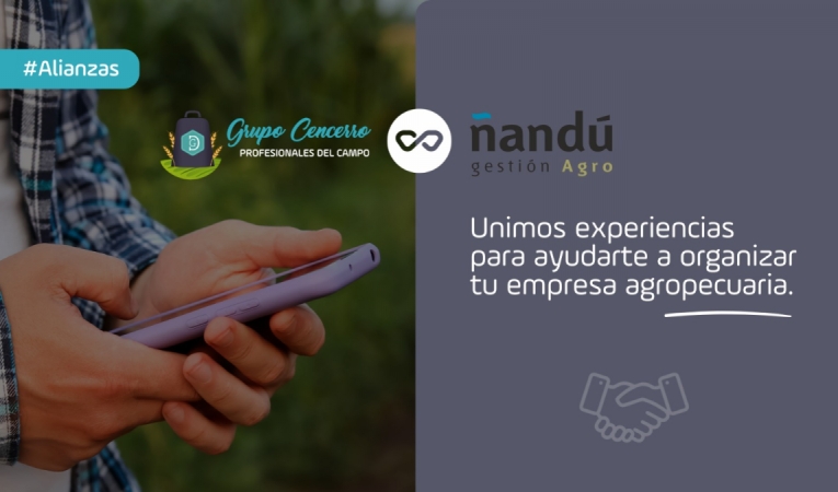 Grupo Cencerro + Ñandú: Una alianza definida por el orden, el control y la eficiencia