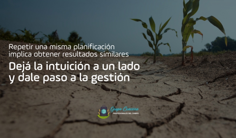 ¡No te olvides!  La rentabilidad está en tus decisiones