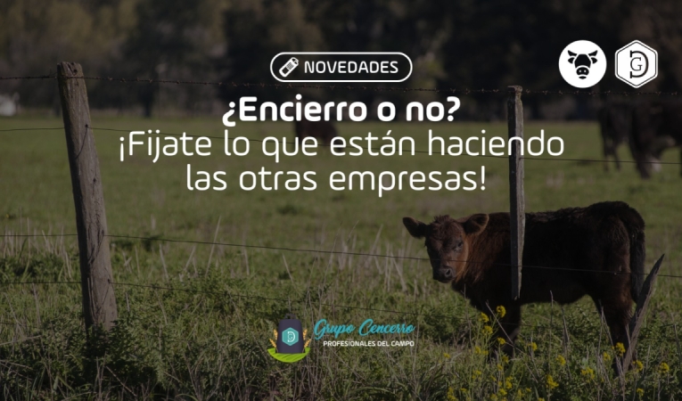 ¿Encierro o no? ¡Fijate lo que están haciendo algunas empresas!